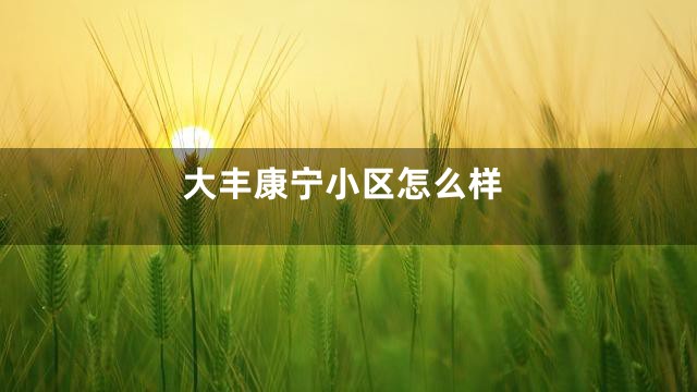 大丰康宁小区怎么样