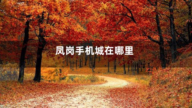 凤岗手机城在哪里