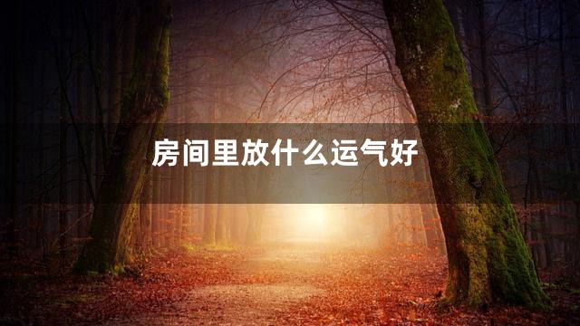 房间里放什么运气好