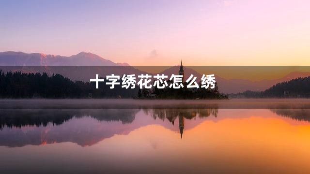 十字绣花芯怎么绣