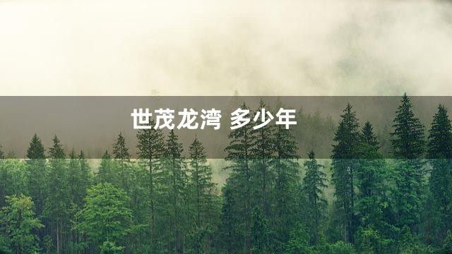 世茂龙湾 多少年
