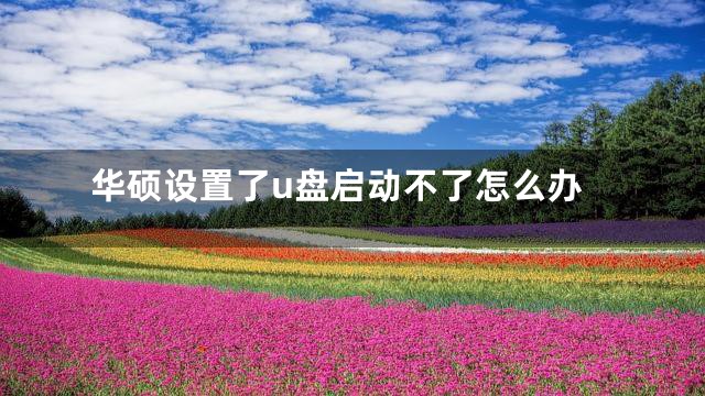 华硕设置了u盘启动不了怎么办
