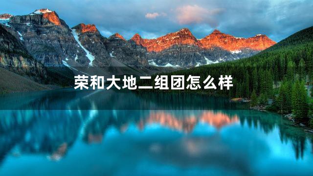 荣和大地二组团怎么样