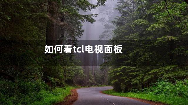如何看tcl电视面板