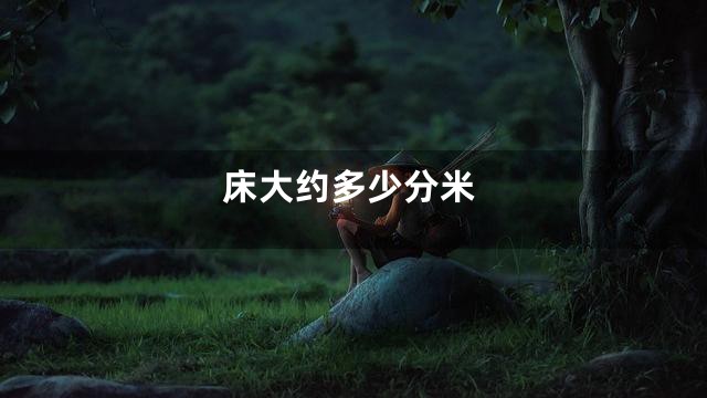 床大约多少分米