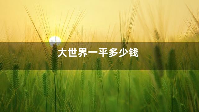 大世界一平多少钱