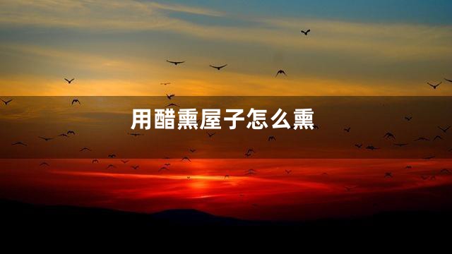 用醋熏屋子怎么熏