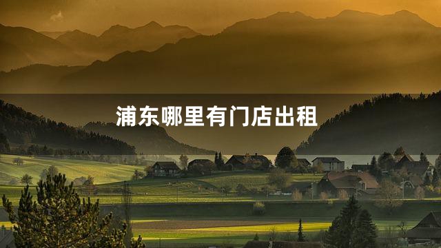 浦东哪里有门店出租