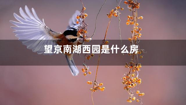 望京南湖西园是什么房