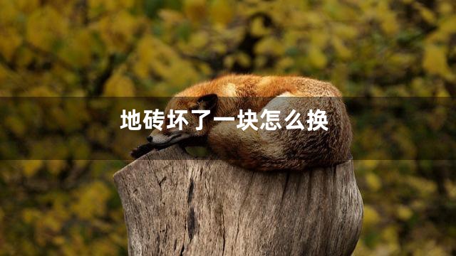 地砖坏了一块怎么换