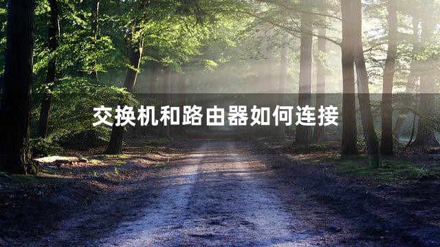 交换机和路由器如何连接