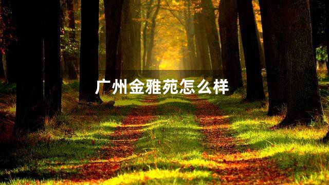 广州金雅苑怎么样