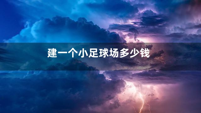 建一个小足球场多少钱