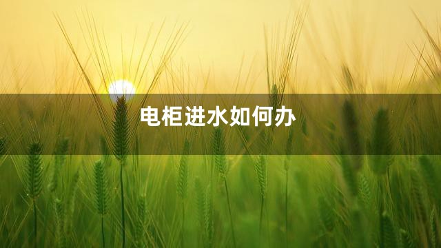 电柜进水如何办