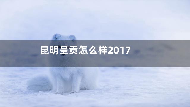 昆明呈贡怎么样2017
