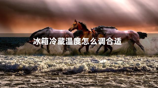 冰箱冷藏温度怎么调合适