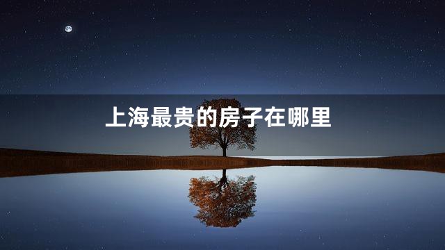 上海最贵的房子在哪里