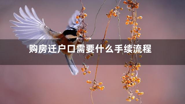 购房迁户口需要什么手续流程
