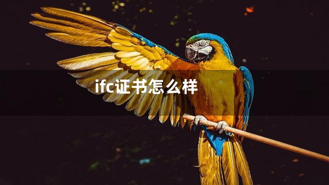 ifc证书怎么样
