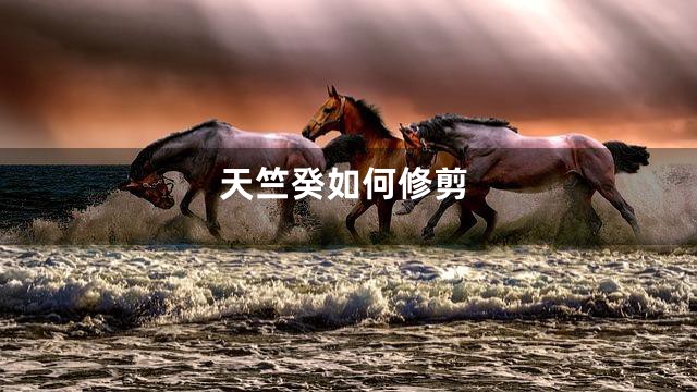 天竺癸如何修剪