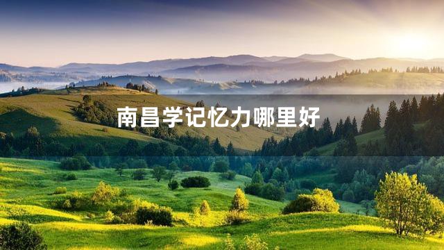 南昌学记忆力哪里好