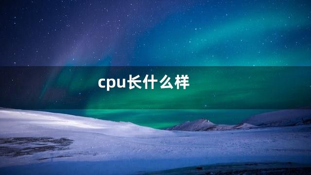 cpu长什么样