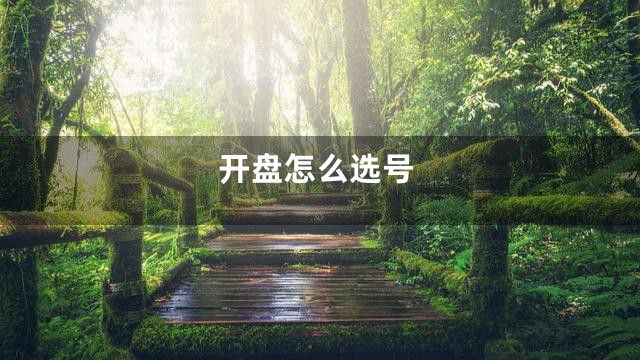 开盘怎么选号