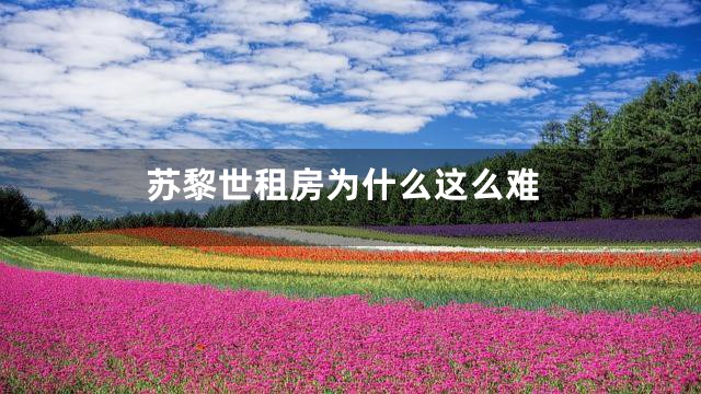 苏黎世租房为什么这么难