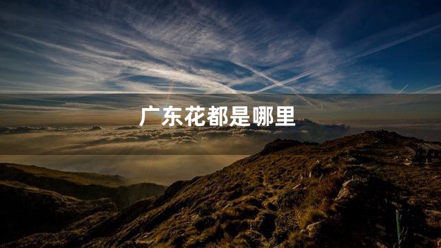 广东花都是哪里