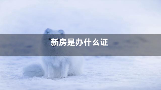 新房是办什么证