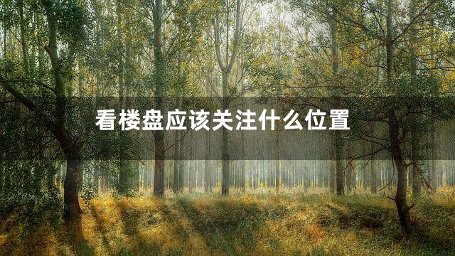 看楼盘应该关注什么位置