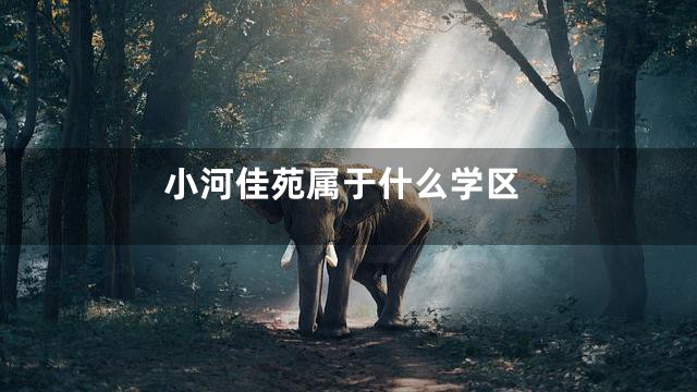 小河佳苑属于什么学区