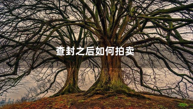 查封之后如何拍卖