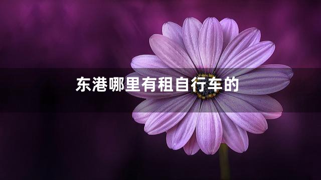 东港哪里有租自行车的