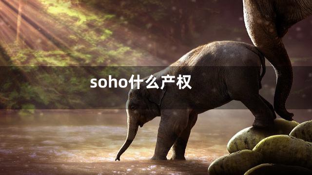 soho什么产权