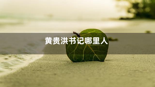 黄贵洪书记哪里人