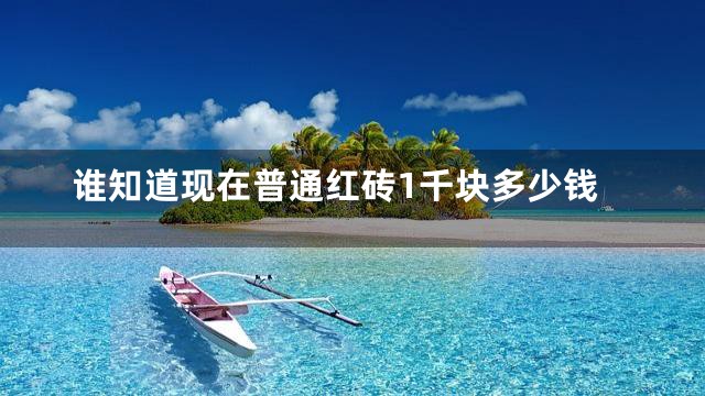 谁知道现在普通红砖1千块多少钱