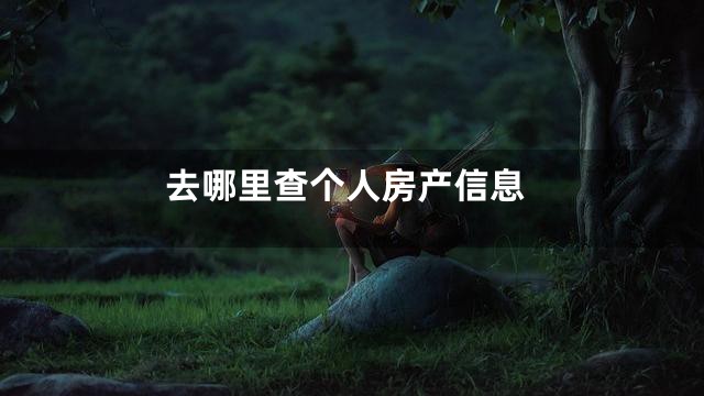 去哪里查个人房产信息