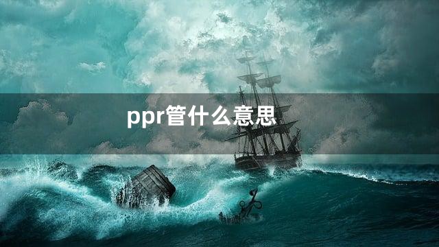 ppr管什么意思