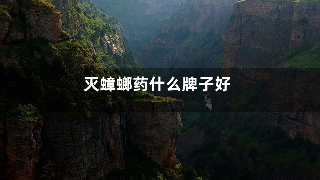 灭蟑螂药什么牌子好