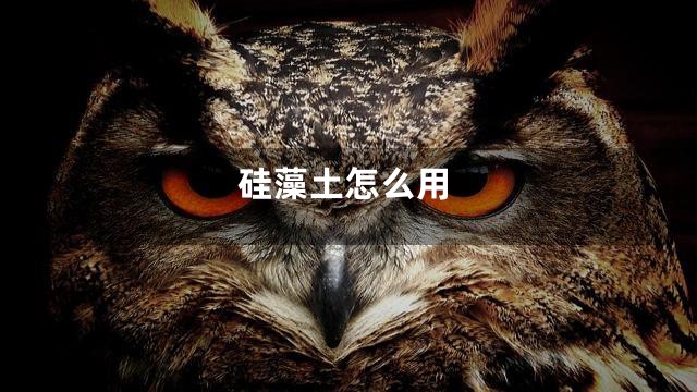 硅藻土怎么用