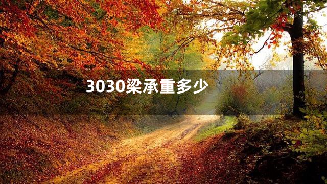 3030梁承重多少