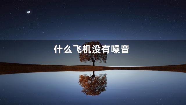 什么飞机没有噪音