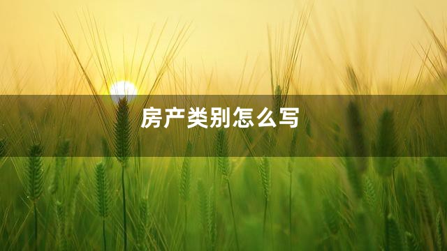 房产类别怎么写