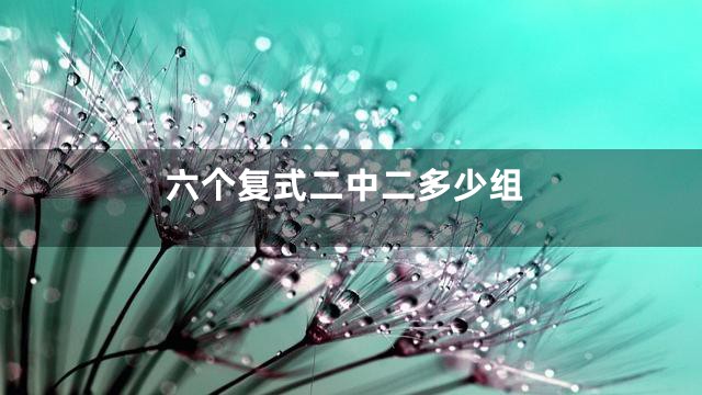 六个复式二中二多少组
