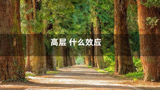 高层 什么效应