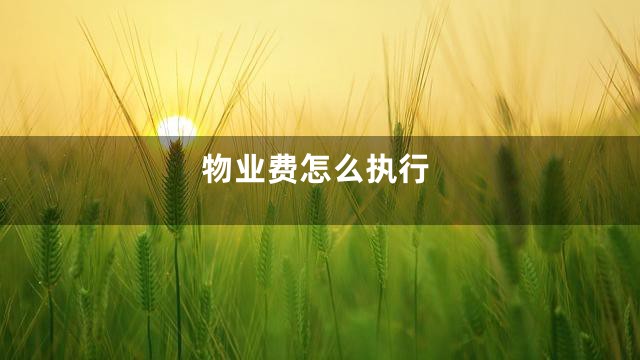 物业费怎么执行