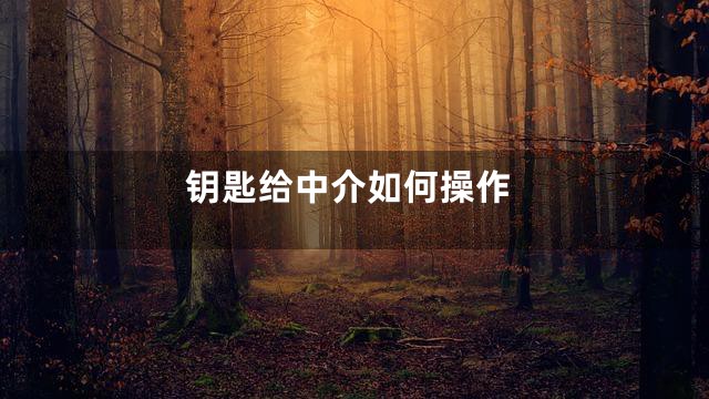 钥匙给中介如何操作