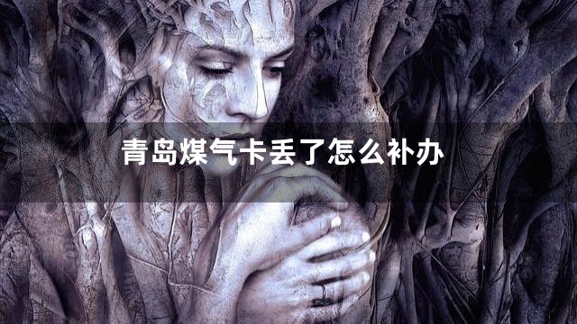 青岛煤气卡丢了怎么补办