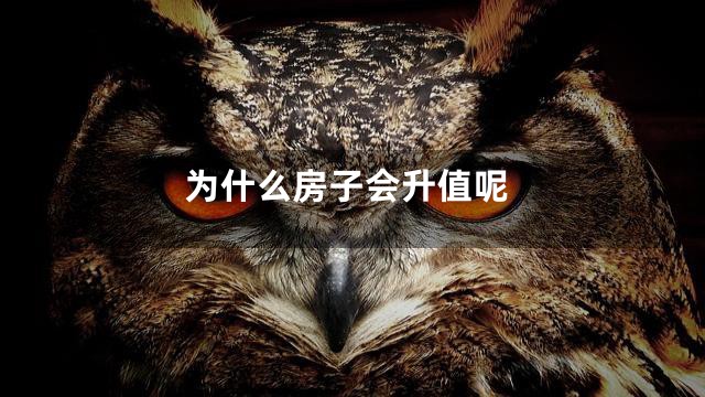 为什么房子会升值呢